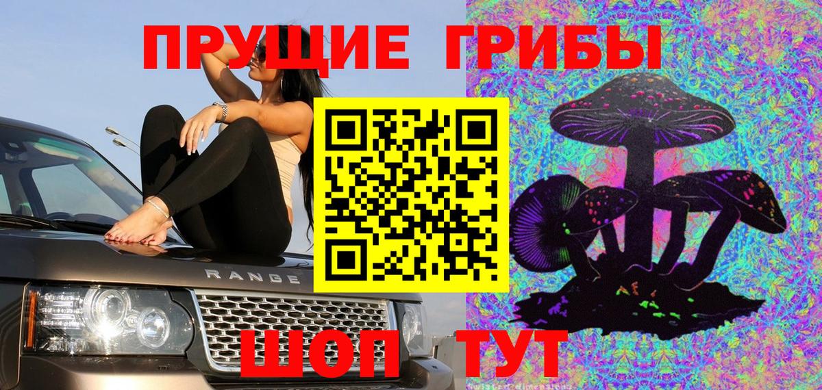 Изобильный  Псилоцибиновые грибы Psilocybine cubensis  Вход с VPN 