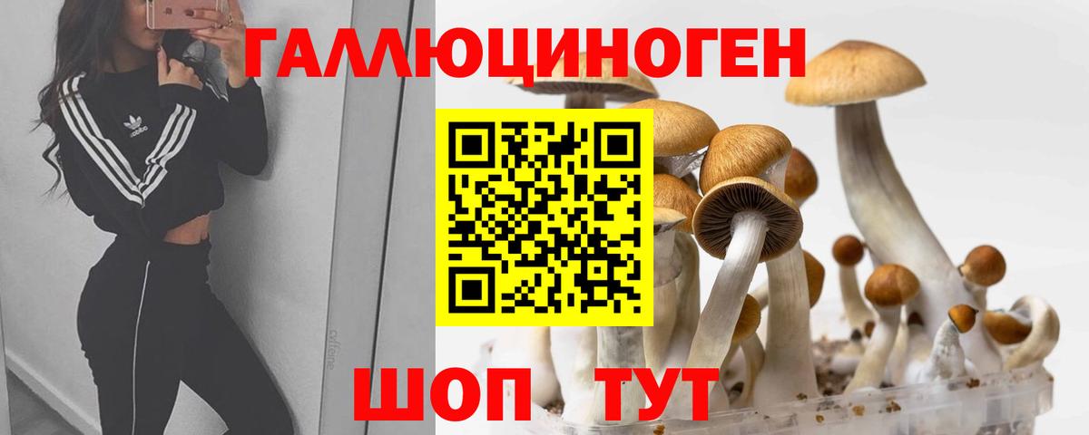 Галлюциногенные грибы Cubensis Изобильный